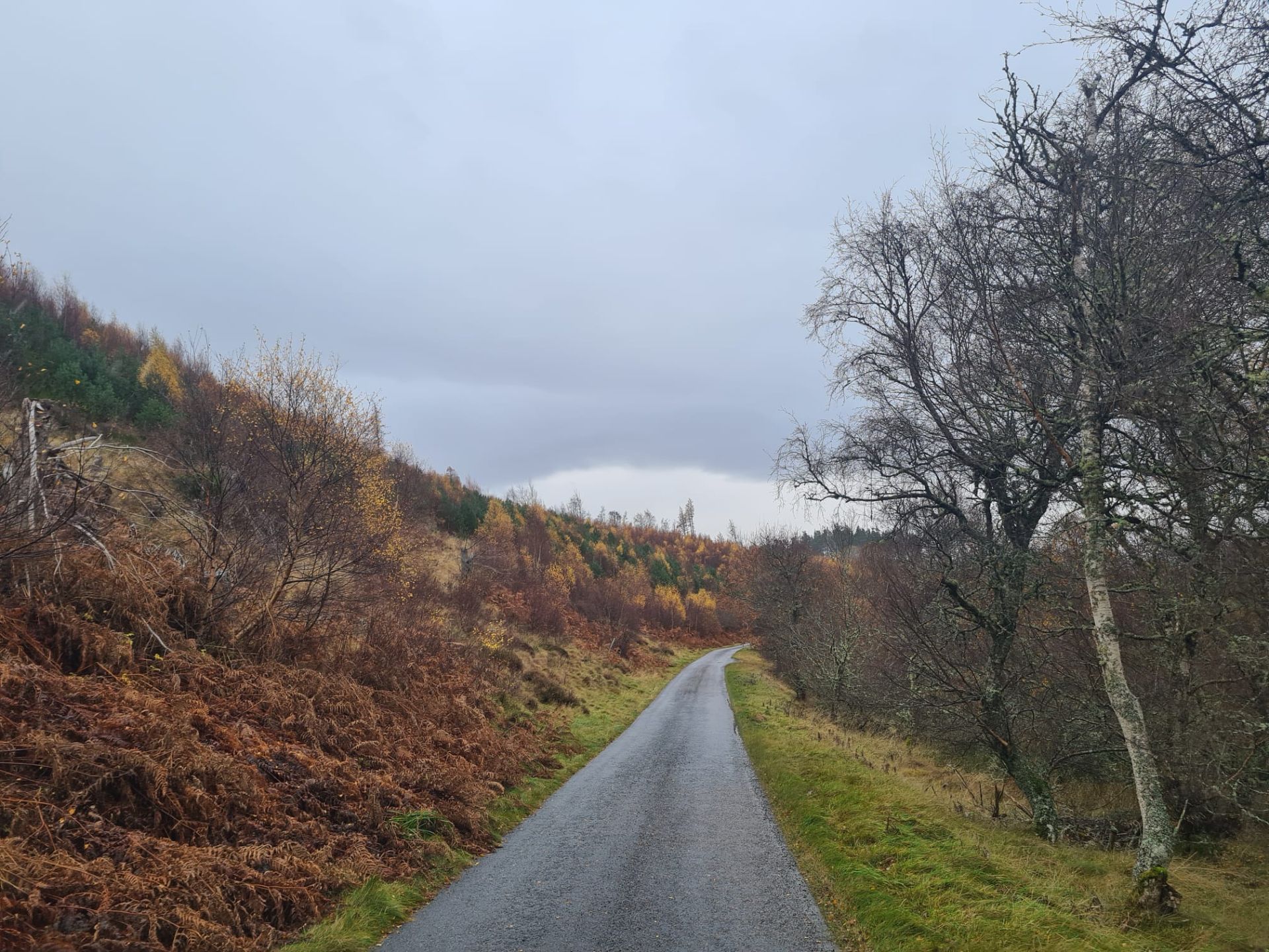 Path in autumnal countryside
